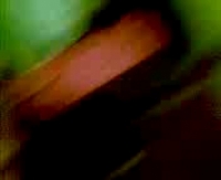 Смотреть секс видео узбекских сучек онлайн